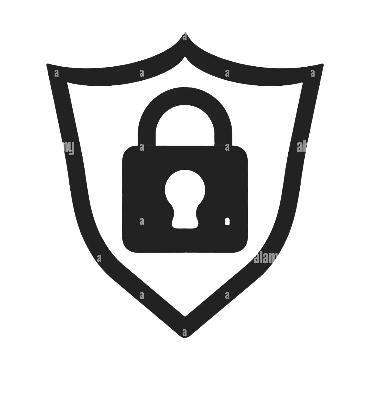 security-icon